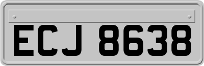 ECJ8638