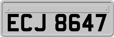 ECJ8647