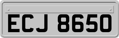 ECJ8650