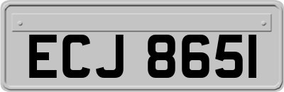 ECJ8651