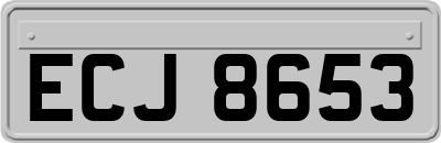 ECJ8653