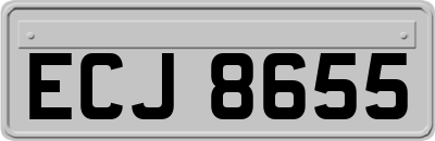 ECJ8655