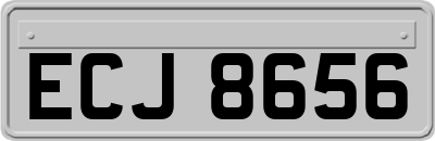 ECJ8656
