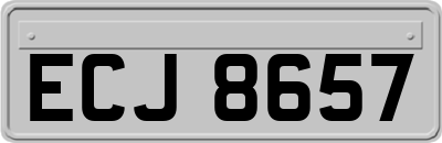 ECJ8657