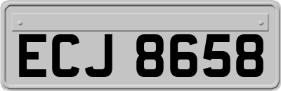 ECJ8658