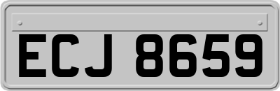 ECJ8659
