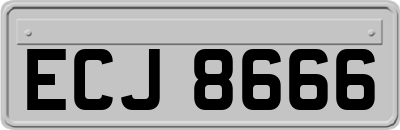 ECJ8666