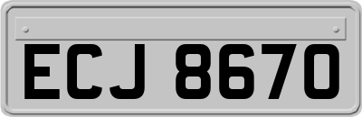ECJ8670