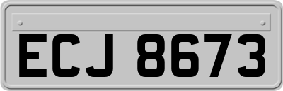 ECJ8673
