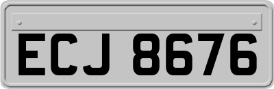 ECJ8676