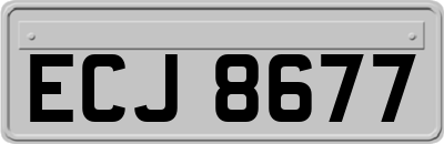 ECJ8677