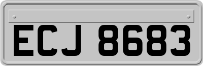 ECJ8683