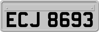 ECJ8693