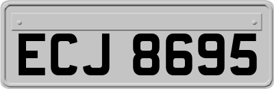 ECJ8695