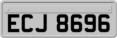ECJ8696