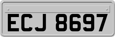 ECJ8697