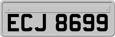 ECJ8699