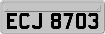 ECJ8703