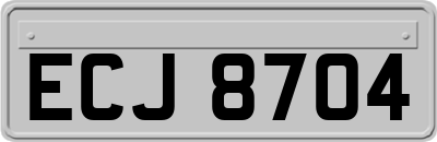 ECJ8704