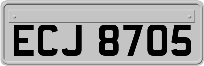 ECJ8705