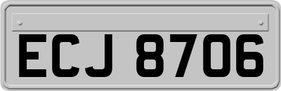 ECJ8706