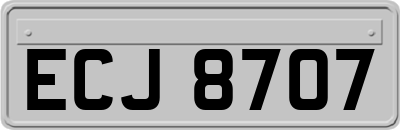 ECJ8707