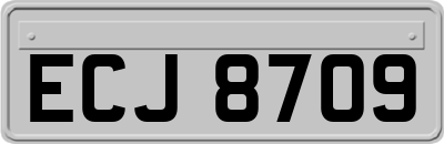 ECJ8709