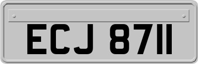 ECJ8711