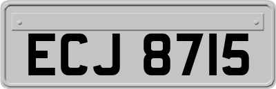 ECJ8715