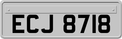 ECJ8718