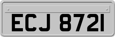 ECJ8721