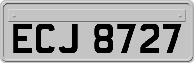 ECJ8727