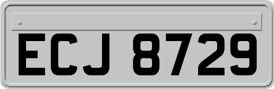 ECJ8729