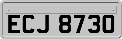 ECJ8730