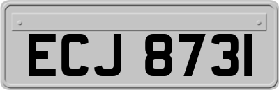 ECJ8731