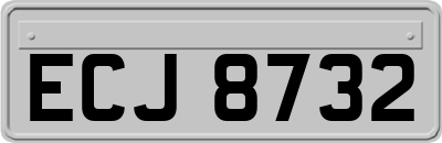 ECJ8732