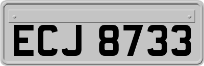 ECJ8733