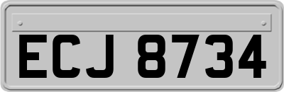 ECJ8734