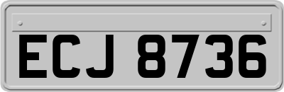 ECJ8736