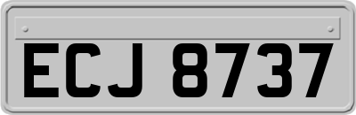 ECJ8737