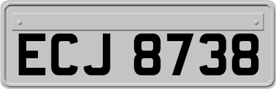 ECJ8738