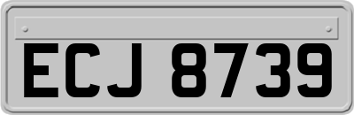 ECJ8739
