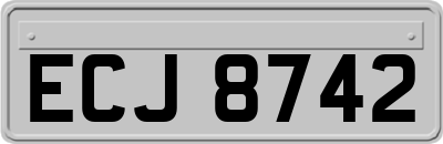 ECJ8742