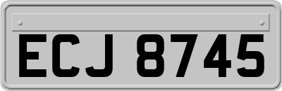 ECJ8745