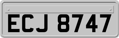 ECJ8747