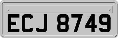 ECJ8749