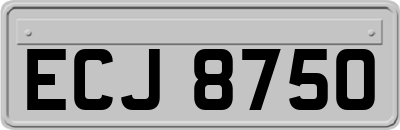 ECJ8750
