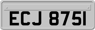 ECJ8751