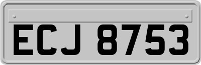ECJ8753