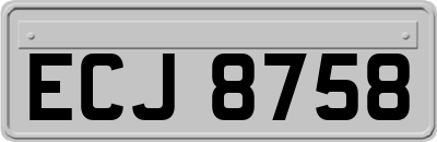 ECJ8758